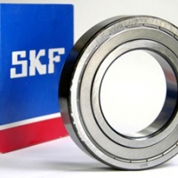 VÒNG BI 6016 2RS1 - SKF